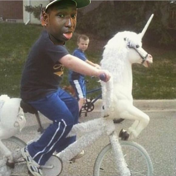 Meet your Posher, Timothy - Picture 1 of 1